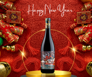 Rượu Vang Ý ngon Domini Veneti Appassimento Rosso