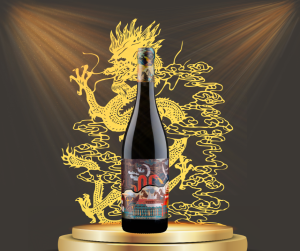 Rượu Vang Ý ngon Domini Veneti Appassimento Rosso