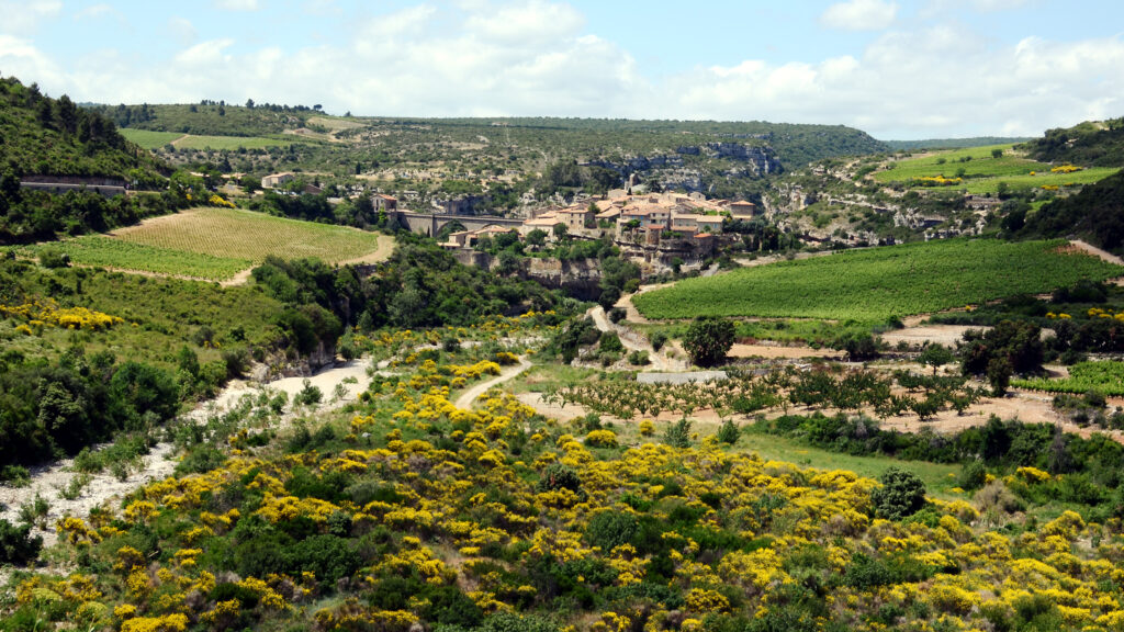 Minervois AOC