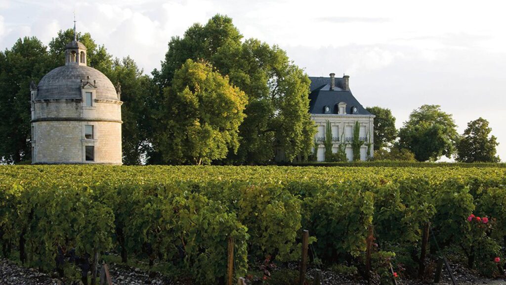 Vang Château Latour