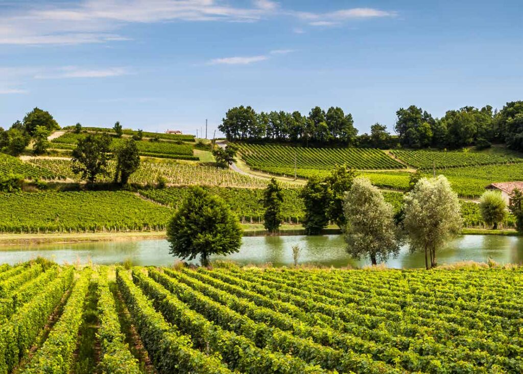 Vang trắng Legendé Bordeaux Blanc