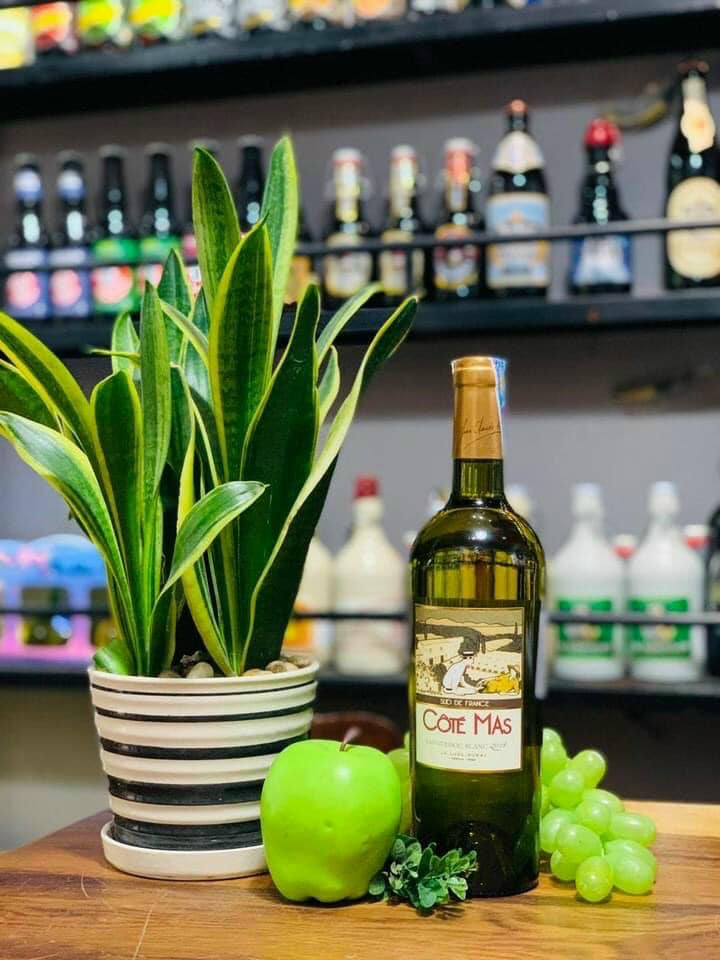 Vang Cote Mas Languedoc Blanc