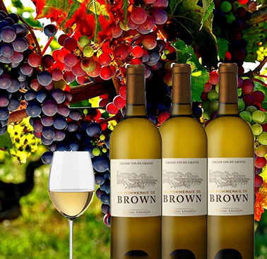 La Pommeraie de Brown Blanc