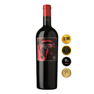 Rượu vang Chile Cao Cấp Caballo Loco Grand Cru Maipo Andes